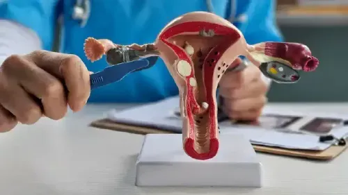 Cost of Uterus Biopsy